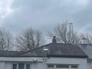 IMG_3177